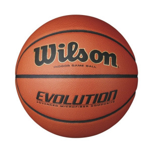 Wilson Evolution Basketball