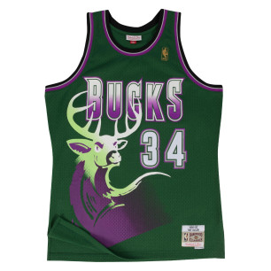 Mitchell & ness Hardwood Classic NBA Jersey Ray Allen Millwaukee Bucks 1996-97 green