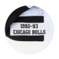 Warm up NBA Chicago Bulls 1992-93 Mitchell & Ness Authentic Jacket Blanc pour Homme