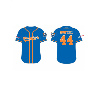 Camiseta de béisbol personalizada bordada para equipos Sportland