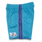 Short NBA Charlotte Hornets 1999-00 Mitchell & Ness Swingman Bleu pour Homme