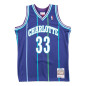 Camiseta NBA Alonzo Mourning Charlotte Hornets 1994-95 Mitchell & ness Hardwood Classic swingman azul