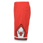 Kids' Mitchell & Ness NBA Short Chicago Bulls 1997 red