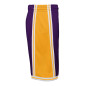 Kids' Mitchell & Ness NBA Short Los Angeles Lakers 1984 Purple
