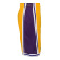Kids' Mitchell & Ness NBA Short Los Angeles Lakers 1996 Yellow