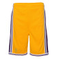 Kids' Mitchell & Ness NBA Short Los Angeles Lakers 1996 Yellow