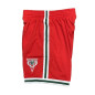 Short NBA Milwaukee Bucks 2008 Mitchell & Ness Swingman Rouge