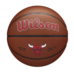 Wilson NBA Team Alliance Chicago Bulls Outdoor Basketball