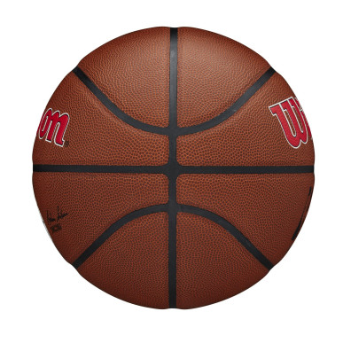 Wilson NBA Team Alliance Los Angeles Clippers Outdoor Basketball