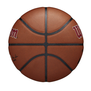 Pelota de baloncesto NBA Miami Heat Wilson Team Alliance Exterior