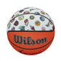 Wilson WNBA All team Outdoor Basketball