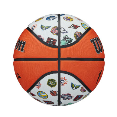 Wilson WNBA All team Outdoor Basketball