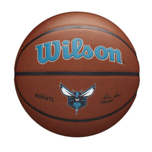 Wilson NBA Team Alliance Charlotte Hornets Outdoor Basketball