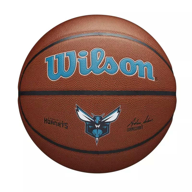 Ballon de Basketball NBA Charlotte Hornets Wilson Team Alliance Exterieur