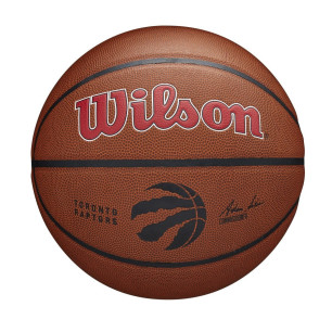 Wilson NBA Team Alliance Toronto Raptors Outdoor Basketball