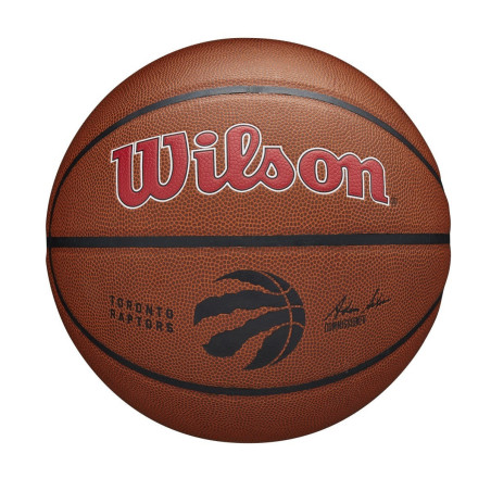 Wilson NBA Team Alliance Toronto Raptors Outdoor Basketball