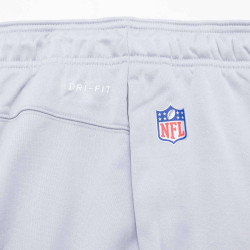 Pantalone NFL Greenbay Packers Nike Therma Gris para hombre