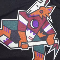 Camiseta NHL Arizona Coyotes Fanatics Breakaway Home Negro