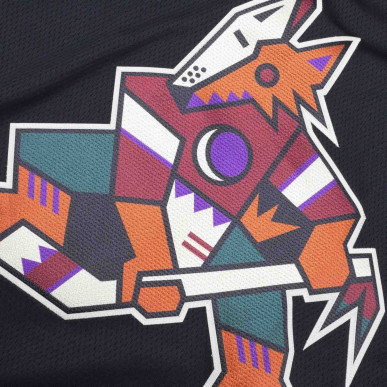 Fanatics Breakaway Jersey Home NHL Arizona Coyotes Black