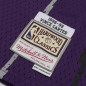 baby's Mitchell & Ness Hardwood Classic NBA Jersey Vince Carter Toronto Purple Raptors 1998 Purple