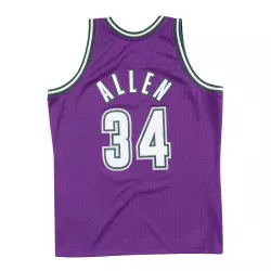 Camiseta NBA Ray Allen Millwaukee Bucks 2000-01 Mitchell & ness Hardwood Classic Purpura