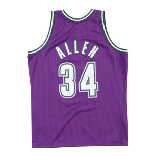 Men's Mitchell & ness Hardwood Classic NBA Jersey Ray Allen Millwaukee Bucks 2000-01 Purple