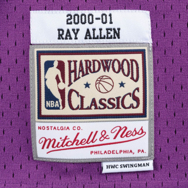Men's Mitchell & ness Hardwood Classic NBA Jersey Ray Allen Millwaukee Bucks 2000-01 Purple