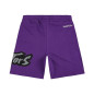 Short NBA Toronto Raptors Mitchell & Ness Gameday