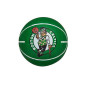 Wilson NBA Boston Celtics Bounce Ball Green