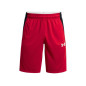 Short Under Armour Baseline 10" Rojo para hombre