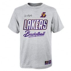  Outerstuff Los Angeles Lakers Kids Youth 4-18 Basketball Team  Logo T-Shirt (as1, Alpha, xx_l, Regular) Grey : Sports & Outdoors