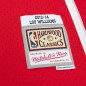 Maillot NBA Lou Williams Atlanta Hawks 2013-14 Mitchell & ness Hardwood Classic Maillot NBA Lou Williams Atlanta Hawks 2013-14 Mitchell & ness Hardwood Classic