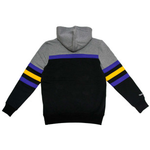 Sudadera con capucha NHL Los Angeles Kings Mitchell & Ness Headcoach Gris