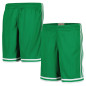 Short NBA Boston Celtics Mitchell & Ness Vert pour enfant