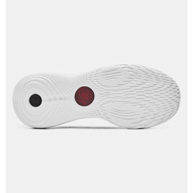 Chaussure de Basketball Under Armour Curry 11 "Domaine Curry"