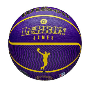 Ballon de Basketball Wilson NBA Player Icon Lebron James