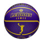 Ballon de Basketball Wilson NBA Player Icon Lebron James