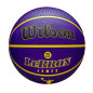 Ballon de Basketball Wilson NBA Player Icon Lebron James