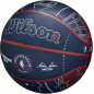 Wilson NBA All-Star Game Replica 2024 Basketball Limited edition