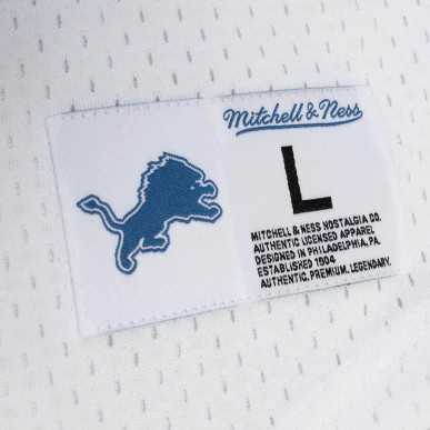 Men's Mitchell & Ness N&N Mesh Jersey NFL Barry Sanders Detroit Lions White