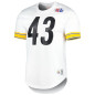 Maillot NFL Troy Polamalu Pittsburgh Steelers Mitchell & Ness N&N Mesh Blanc