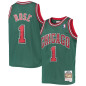 Camiseta NBA Chicago Bulls Chicago Bulls 2008-09 Mitchell & ness Hardwood Classic Verde Camiseta NBA Chicago Bulls Chicago Bulls 2008-09 Mitchell & ness Hardwood Classic Verde