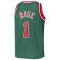 Maillot NBA Chicago Bulls Chicago Bulls 2008-09 Mitchell & ness Hardwood Classic Vert Maillot NBA Chicago Bulls Chicago Bulls 2008-09 Mitchell & ness Hardwood Classic Vert