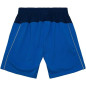 Men's Mitchell & Ness Swingman Short NBA Dallas Mavericks 2010-11 Blue