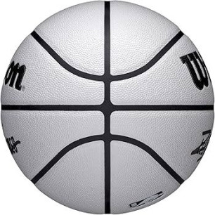 Wilson NBA Player Icon UV Lebron James Basketball