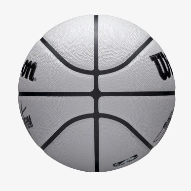 Wilson NBA Player Icon UV Jayson Tatum Basketball