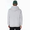 Sudadera NFL Greenbay Packers New Era gris Sudadera NFL Greenbay Packers New Era gris