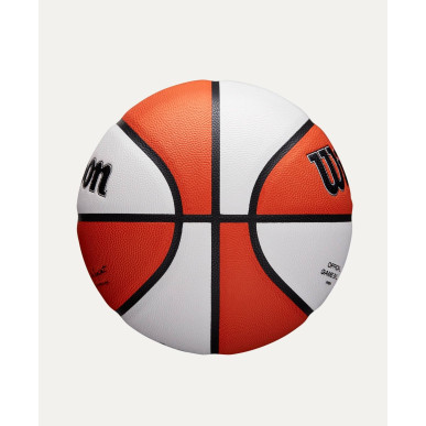 Wilson Evo Nxt WNBA Official Basketball