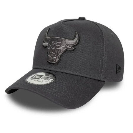 Gorra NBA Chicago Bulls New Era Outline E-Frame 9FORTY Gris