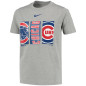 Kid's Nike 3Peat Team Logo Legend T-shirt MLB Chicago Cubs Grey